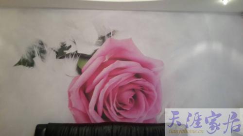 <br />
<b>Notice</b>:  Undefined index: headline in <b>/data/home/htdocs/tianyahome/pre/f_list.php</b> on line <b>492</b><br />
<br />
<b>Notice</b>:  Undefined index: userid in <b>/data/home/htdocs/tianyahome/pre/f_list.php</b> on line <b>492</b><br />
